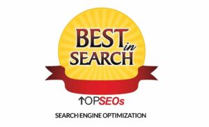 Best in Search Award from Top SEOs.com