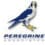 Peregrine